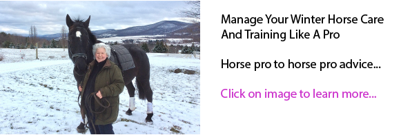 Manage Your Winter Horse Care And Training Like A Pro