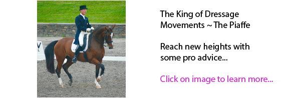 The King of Dressage Movements ~ The Piaffe