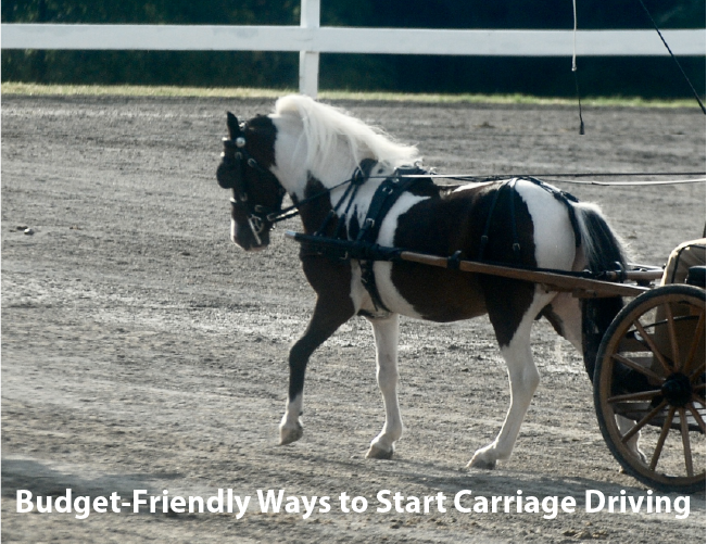 Budget-Friendly Ways to Start Carriage Driving