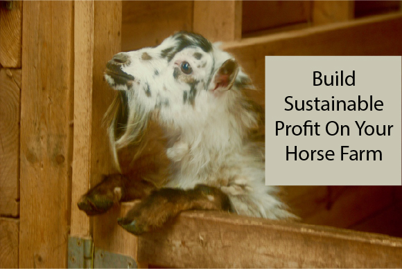 Build Sustainable Profit On Your Horse Farm 
