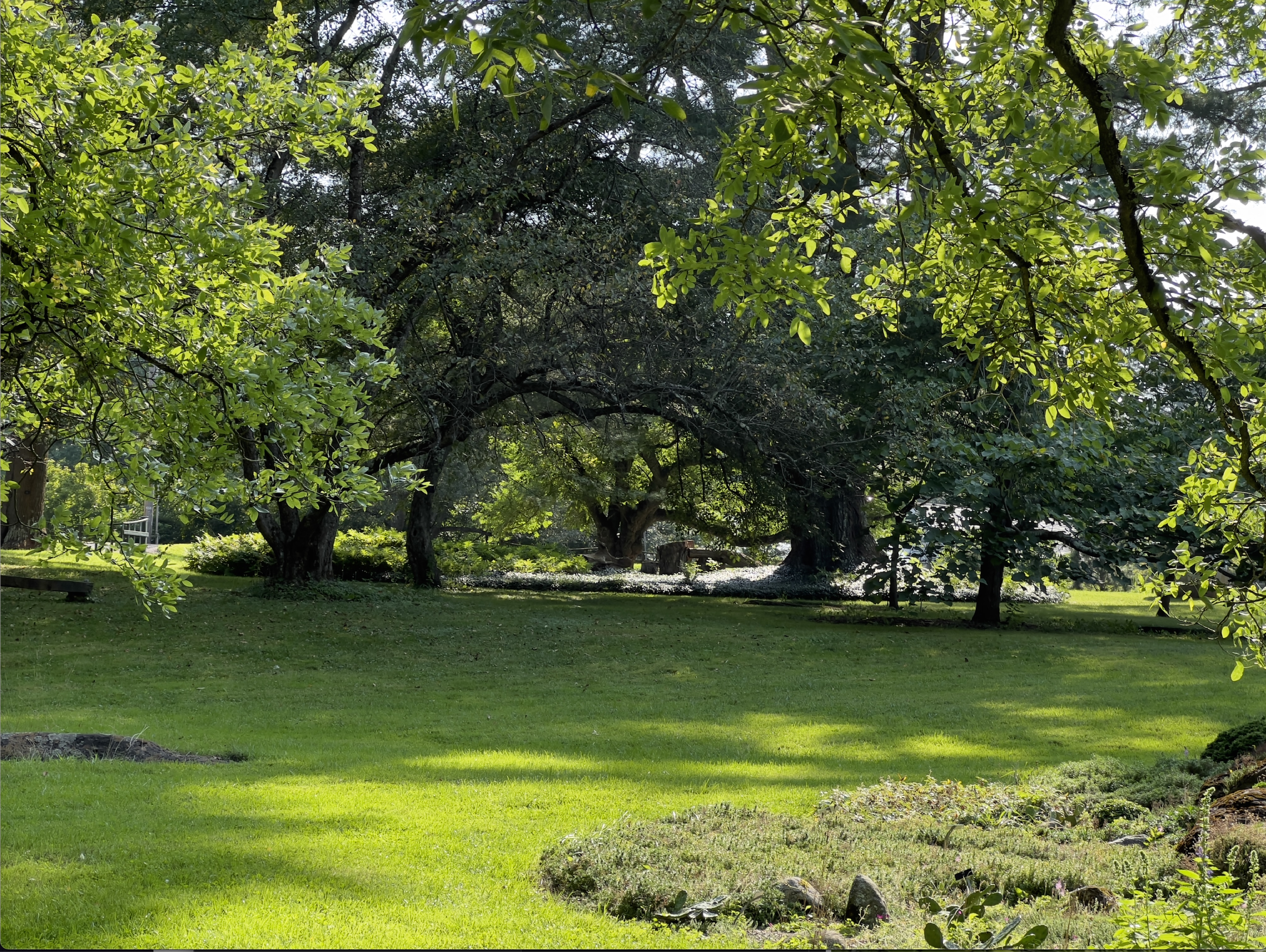 Established Gardens