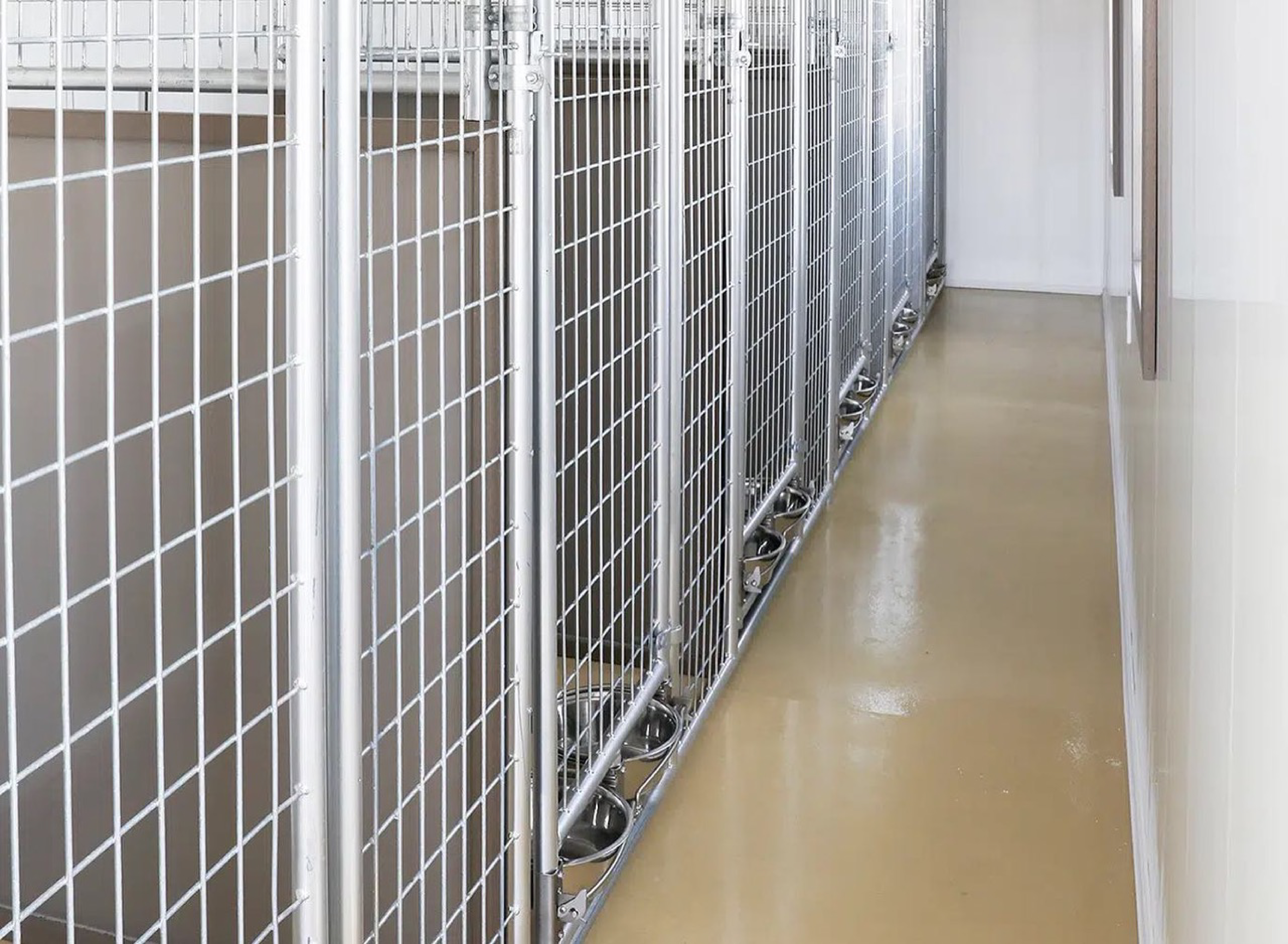 Modern Flooring