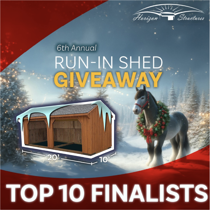 Run-In Shed Giveaway