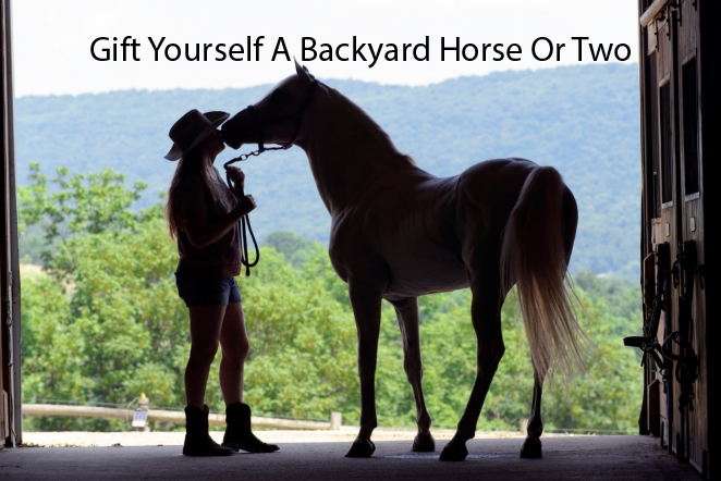 Gift Yourself A Backyard Horse Or Two