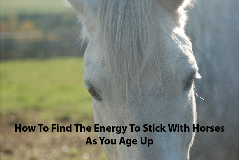 How To Find The Energy To Stick With Horses As You Age Up 