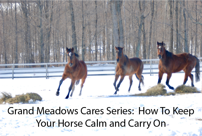 Grand Meadows Cares Series:  How To Keep Your Horse Calm and Carry On