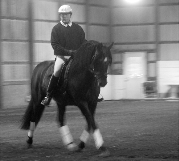 How to Master the Sitting Trot -
Excerpt from Nikki Alvin-Smith’s Forthcoming Book
Road Map to Grand Prix Dressage