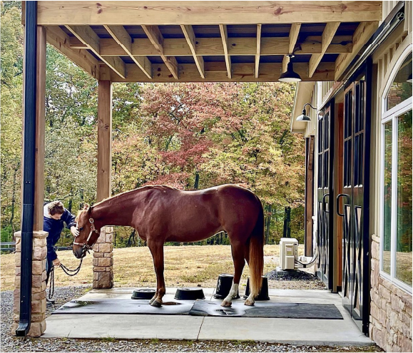 Horse Bathing Facility