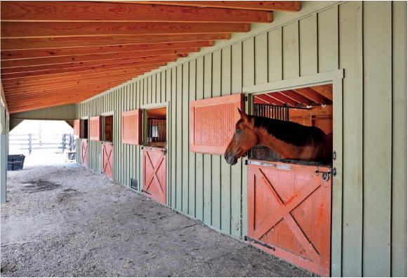 Shed Row Horse Barn with Overhang