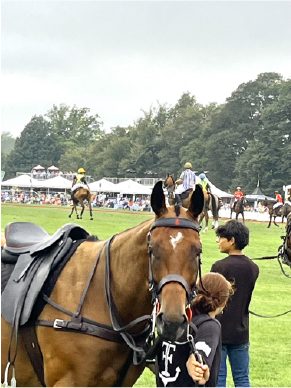 Riding A Horse Is About More Than Just Not Falling Off