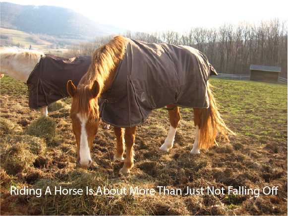 Riding A Horse Is About More Than Just Not Falling Off