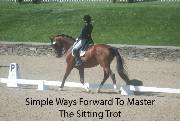 Simple Ways Forward To Master The Sitting Trot