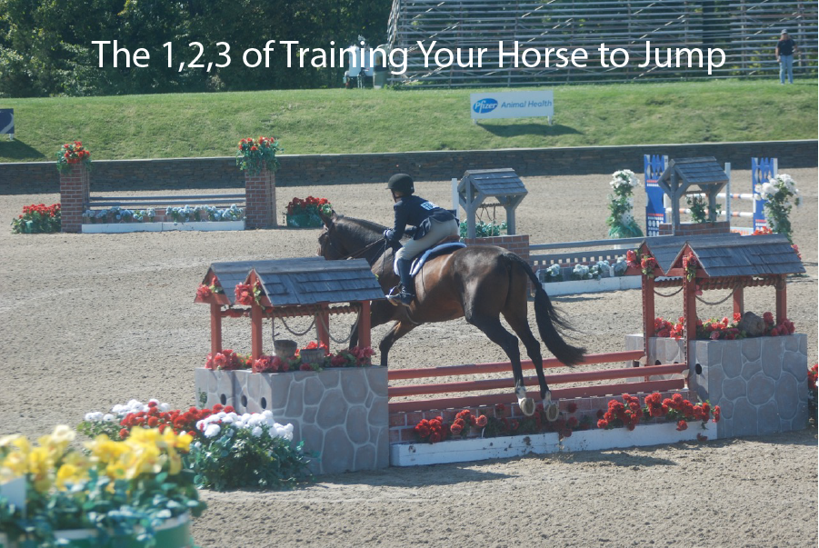 The 1,2,3 of Training Your Horse to Jump