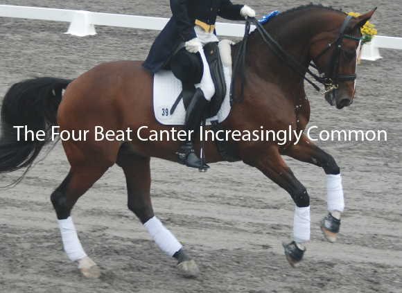 Rarely do you see a 4 beat canter during a victory lap