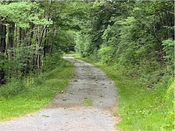 Time To Hit The Trail – The Catskill Scenic Trail That Is