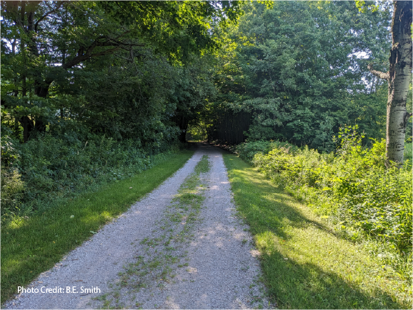 Time To Hit The Trail – The Catskill Scenic Trail That Is