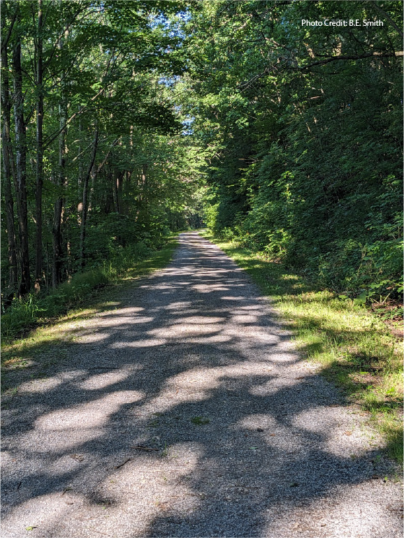 Time To Hit The Trail – The Catskill Scenic Trail That Is