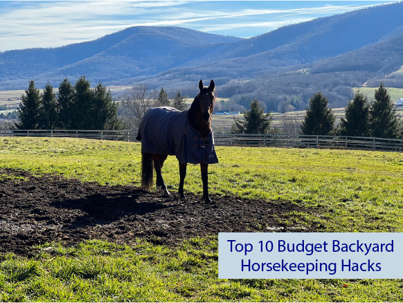 Top 10 Budget Backyard Horsekeeping Hacks