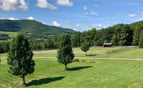 Top 10 Budget Backyard Horsekeeping Hacks