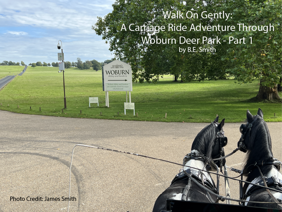 Walk On Gently:
A Carriage Ride Adventure Through Woburn Deer Park-Part 1 
by B.E. Smith