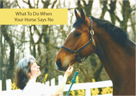 What To Do When Your Horse Says No What To Do When Your Horse Says No