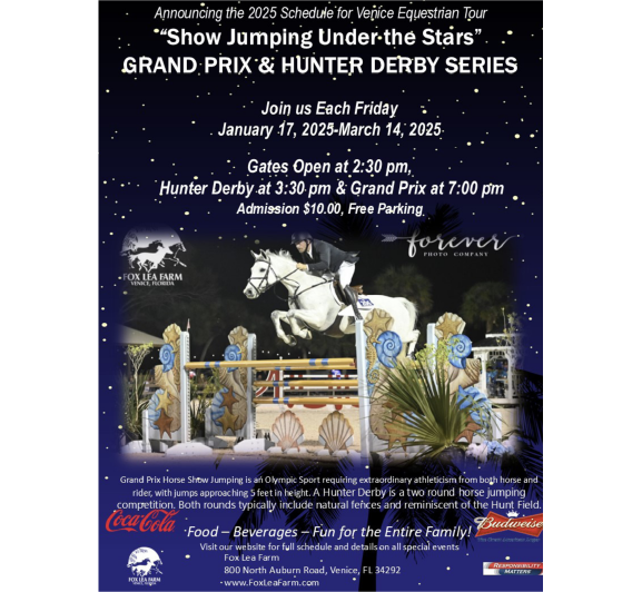 Show Jumping Under the Stars