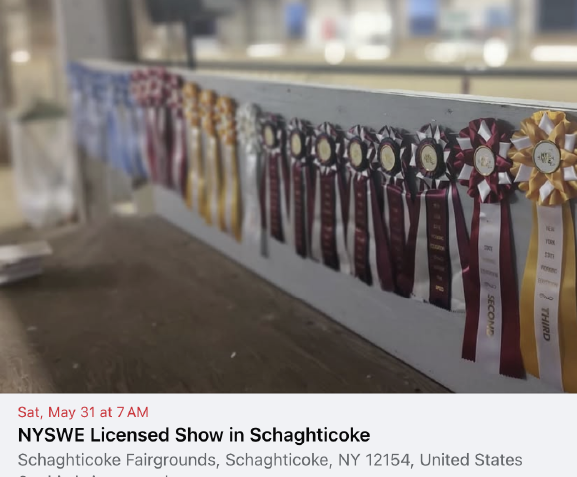 NYSWE Horse Show