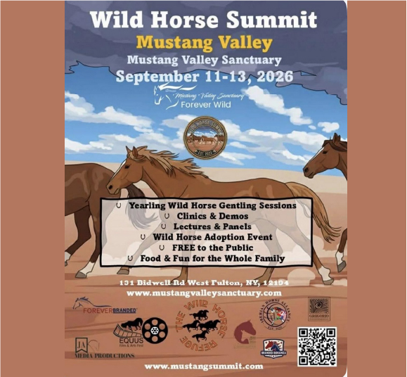 Wild Horse Summit