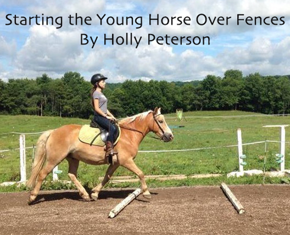 Starting the Young Horse Over Fences
By Holly Peterson