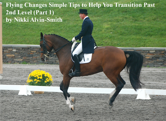 Flying Changes Simple Tips to Help You Transition Past 2nd Level (Part 1) by Nikki Alvin-Smith