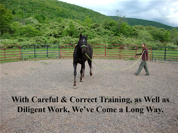 Careful Training