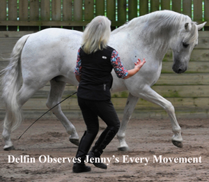 Delfin Observes Jenny's Every Movement