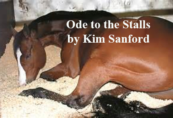 Ode to the Stalls 
by Kim Sanford