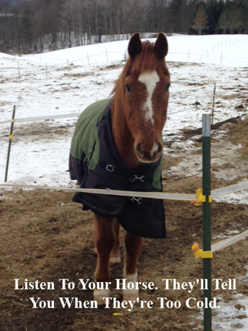 Listen to Your Horse