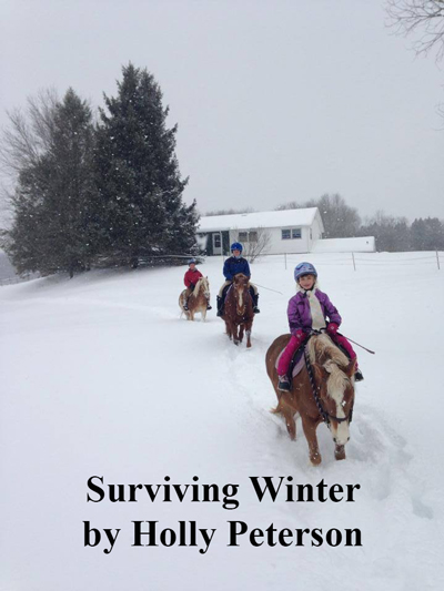 Surviving Winter 
by Holly Peterson
