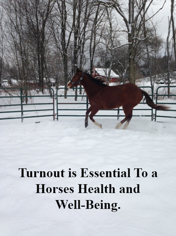 Turnout is Essential