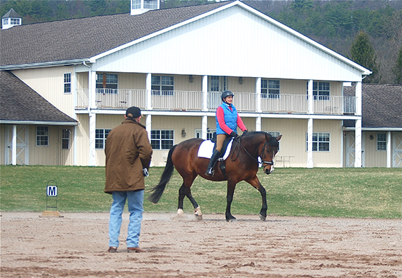 Riding Lessons From The Trainer’s Perspective ~ What’s Best? Group or One on One By Nikki Alvin-Smith