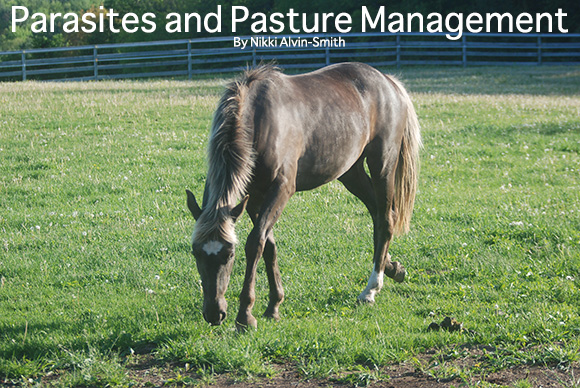 Parasites and Pasture Management