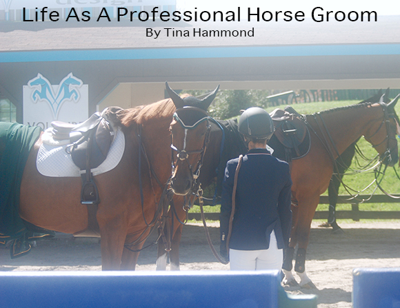 Life As A Professional Horse Groom By Tina Hammond