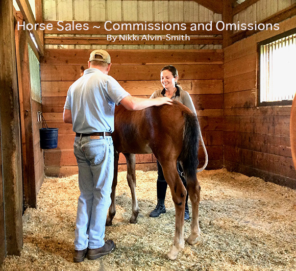 Horse Sales ~ Commissions and Omissions
By Nikki Alvin-Smith 