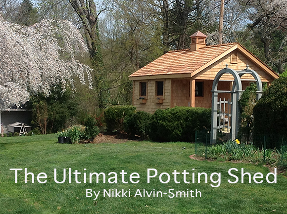 The Ultimate Potting Shed
