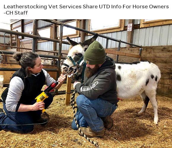 Leatherstocking Vet Services Share UTD Info For Horse Owners