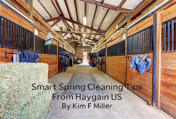 Smart Spring Cleaning Tips From Haygain US