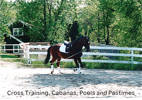 Cross Training, Cabanas, Pools and Pastimes