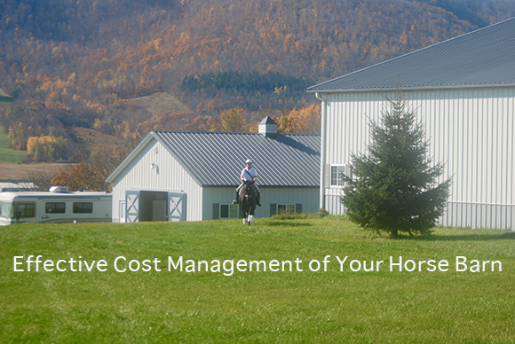 Effective Cost Management of Your Horse Barn