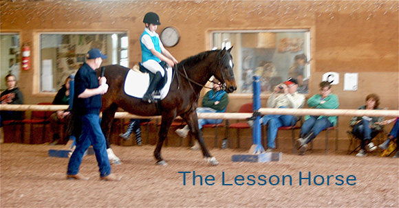 The Lesson Horse
