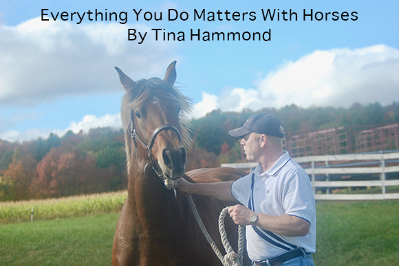 Everything You Do Matters With Horses