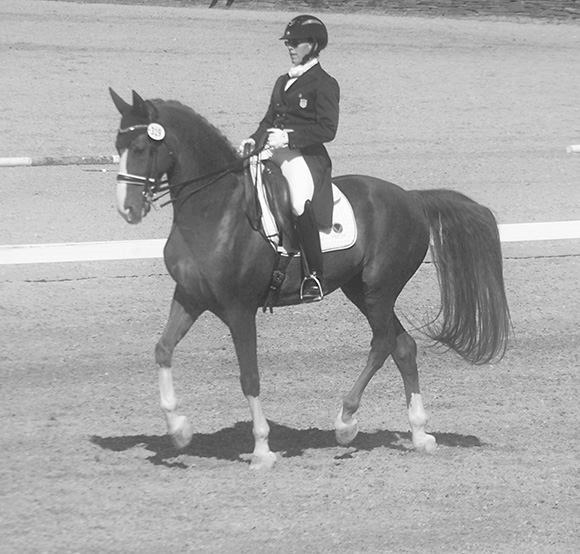 The Queen of Dressage Movements ~ The Passage