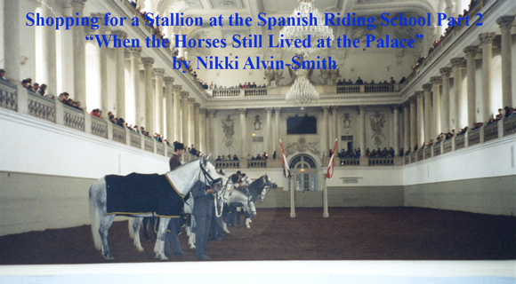 Shopping for a Stallion at the Spanish Riding School Part 2
“When the Horses Still Lived at the Palace” by Nikki Alvin-Smith