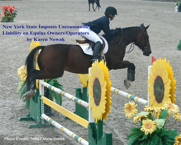 New York State Imposes Unreasonable Liability on Equine Owners/Operators